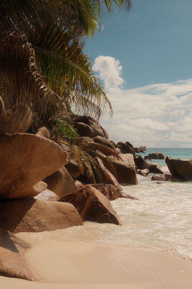 Palms and granite rocks on a Seychelles beach