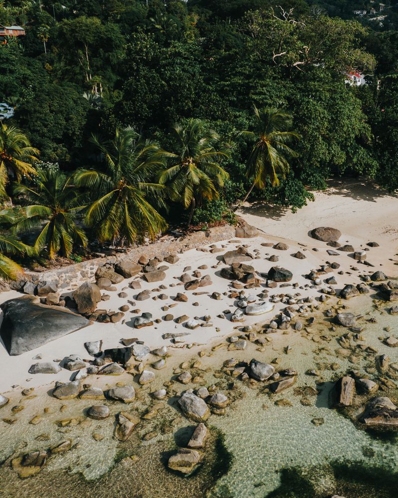 Aerial view of a rocky beach and green hills