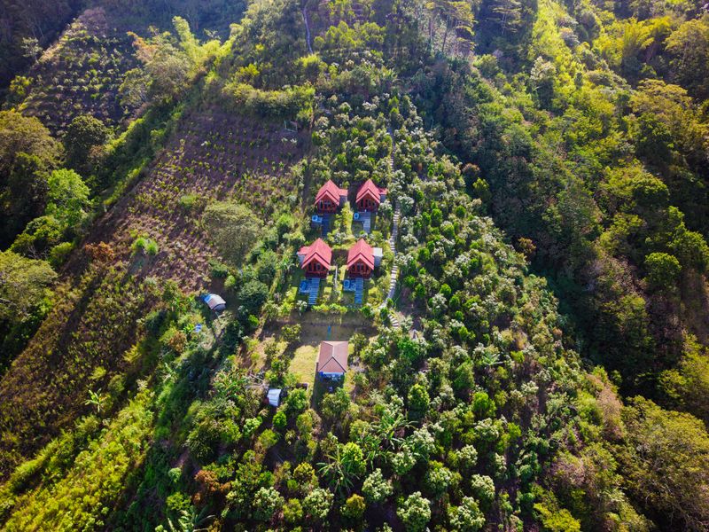 Aerial view of villas tucked into the Bali jungle