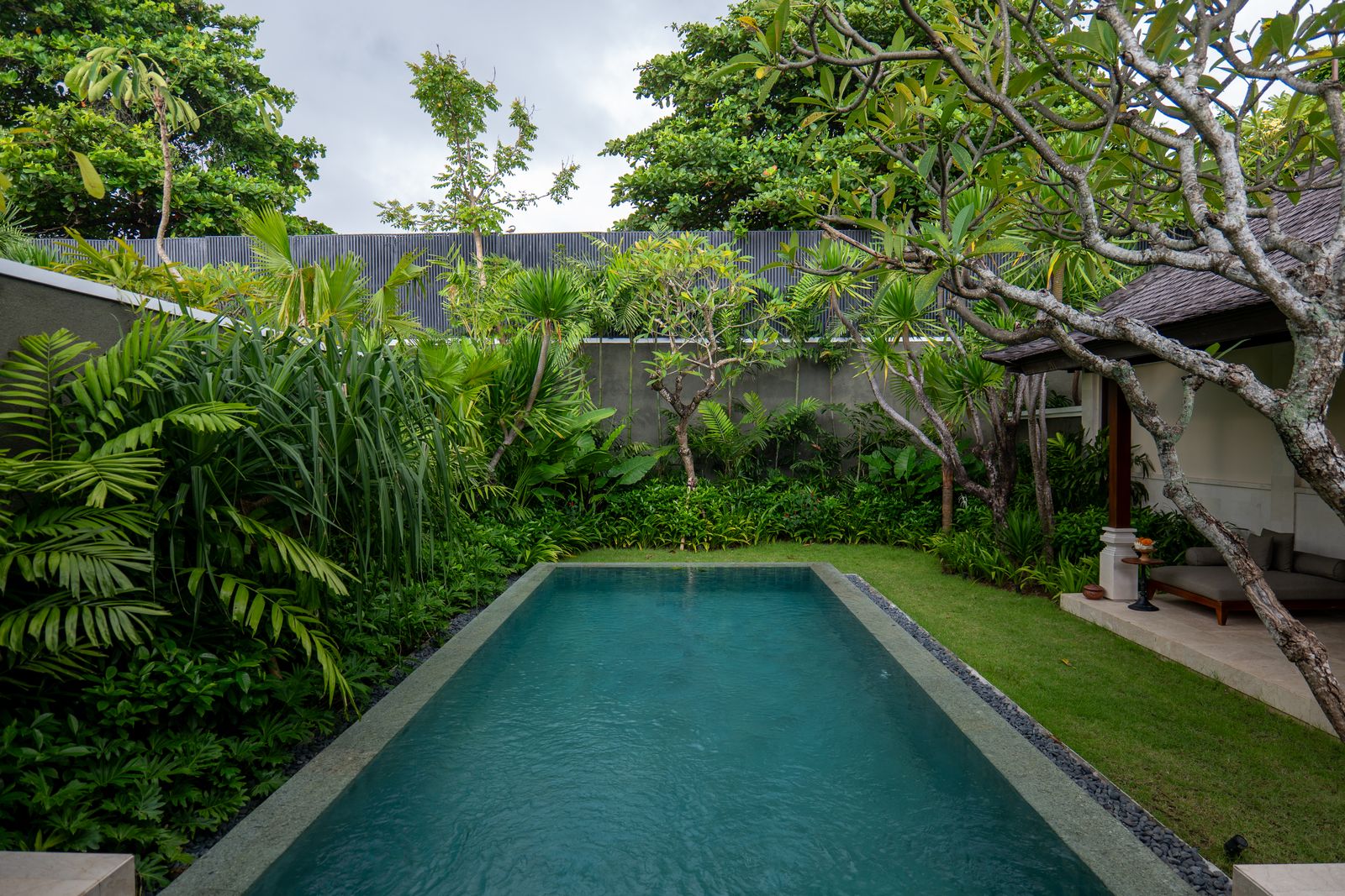Bali jungle villa swimming pool