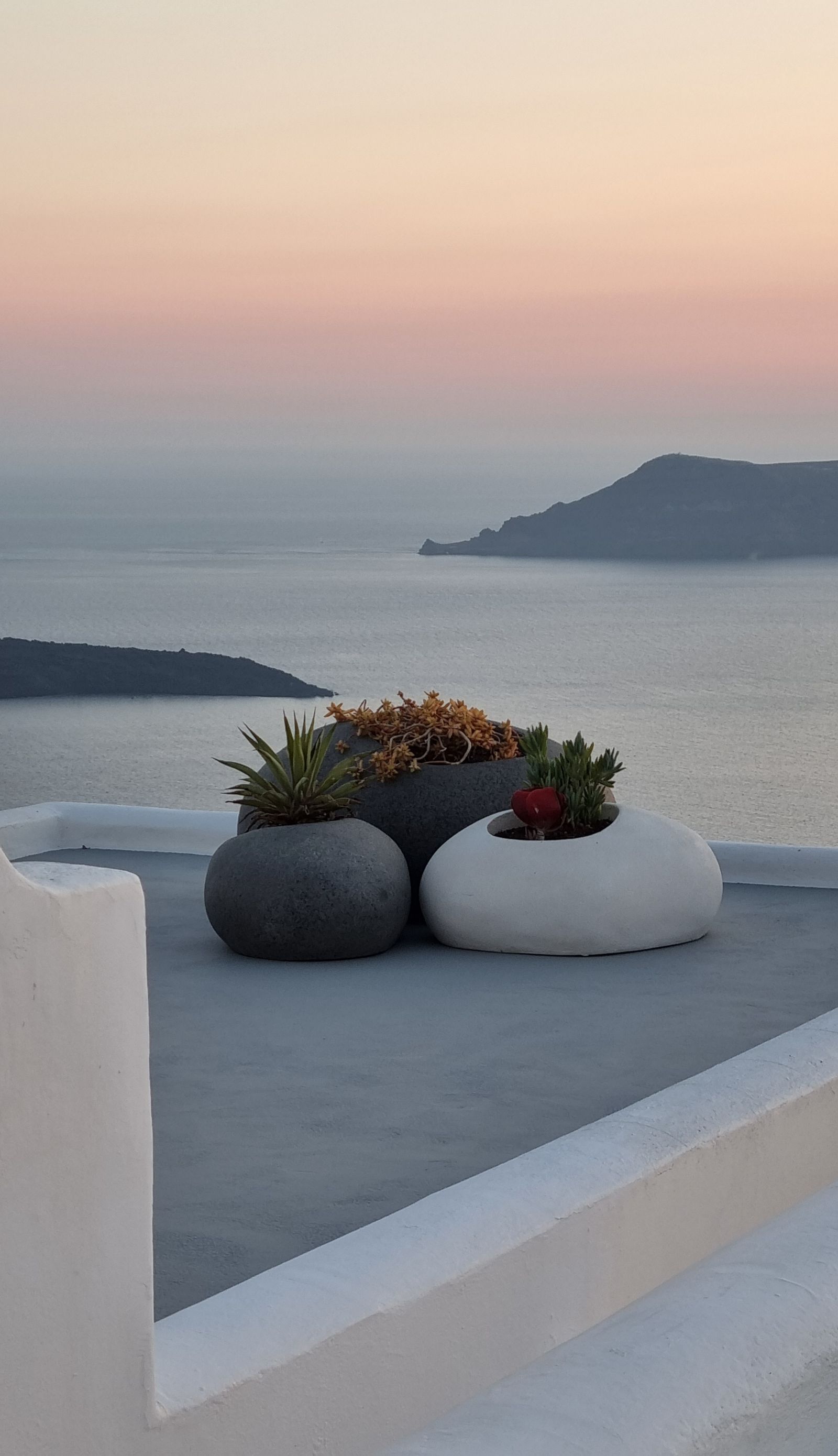 Santorini terrace succulent detail above sea