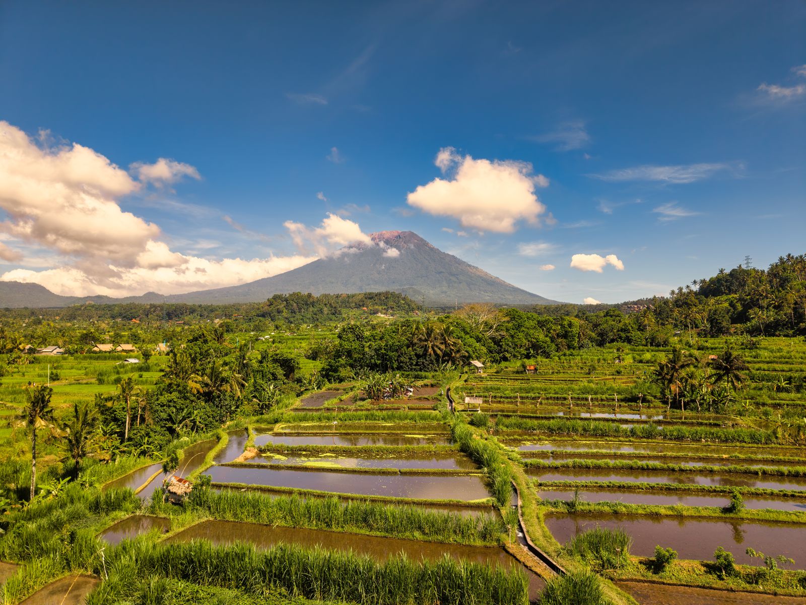Bali rice terraces and Mount Agung