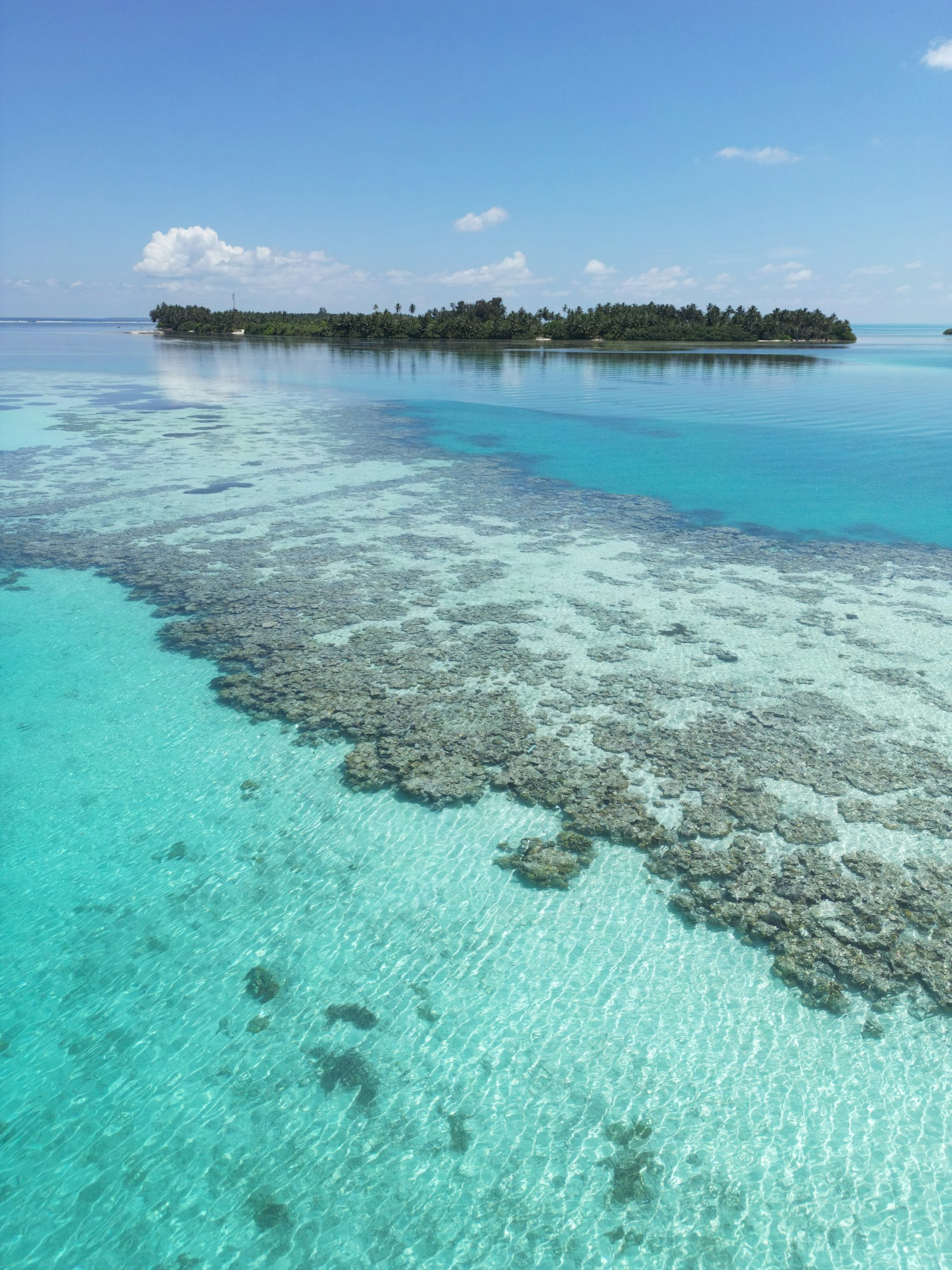 Maldives coral reef in clear lagoon