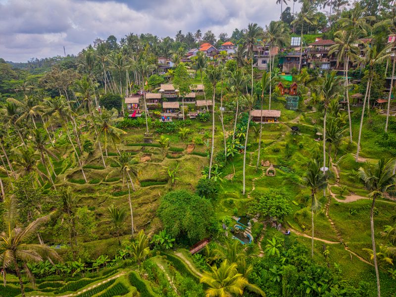 Aerial view of the Tegallalang rice terraces near Ubud