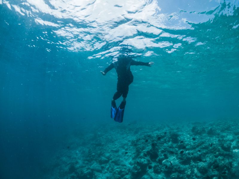 Snorkeler gliding over a reef in clear Maldivian water