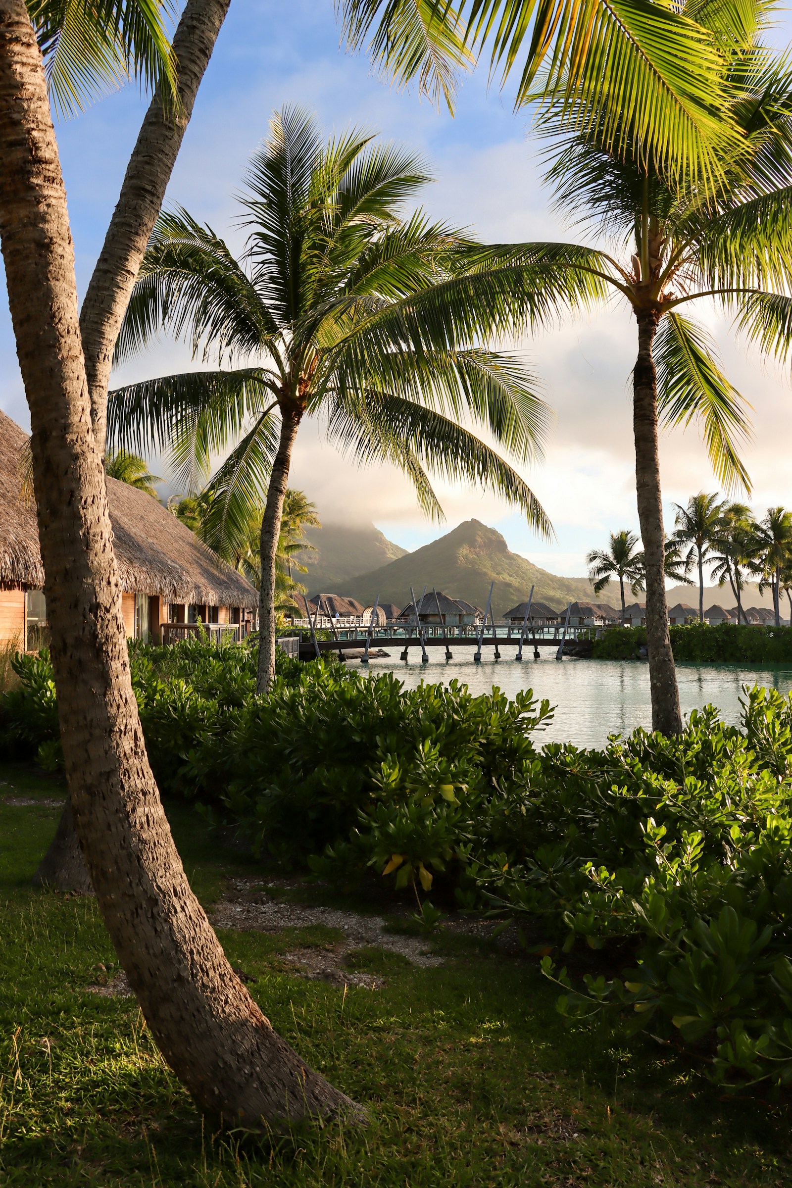 Bora Bora palms bungalows and mountain